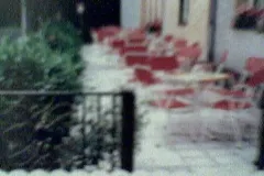 EW_rieppel_001
